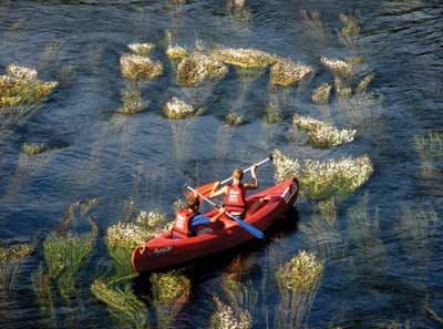 Enfant en vacance faisant un parcours de canoë sur la Dordogne avec l'équipement Saga Team Dordogne